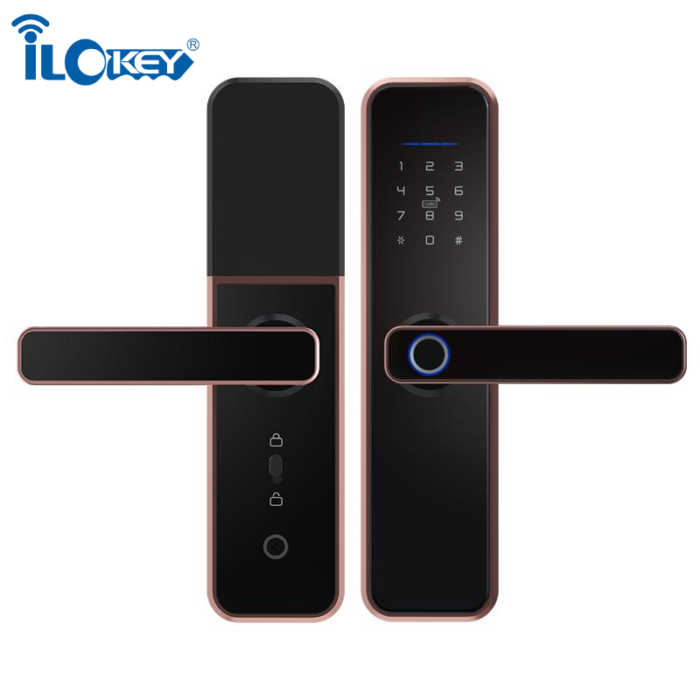 Tuya Smart Door Lock With Smart Life Tuya App - Image 4