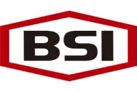bsi logo