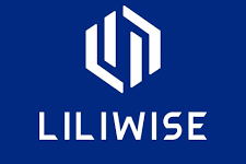 liliwise logo