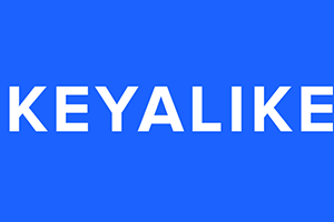 keyalike logo