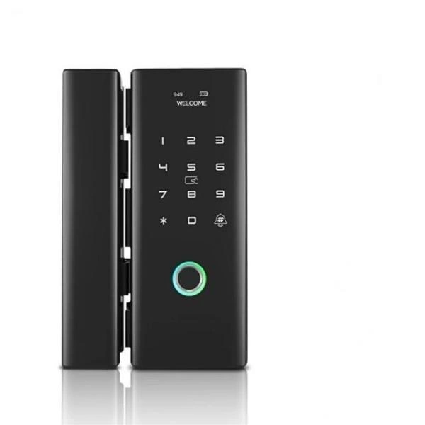 Tuya Glass Door Lock 01