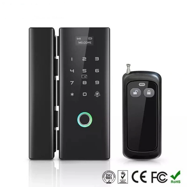 Tuya Glass Door Lock 03