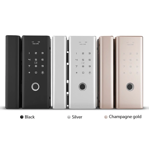 Tuya Glass Door Lock 04
